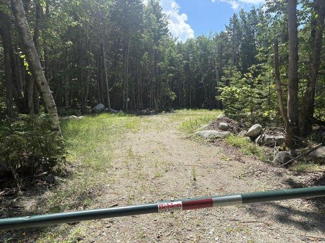 Land for sale in Penobscot, Maine