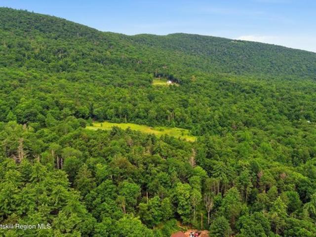 Land for sale in Olive, New York