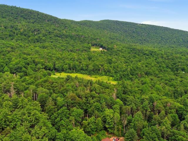 Land for sale in Olive, New York