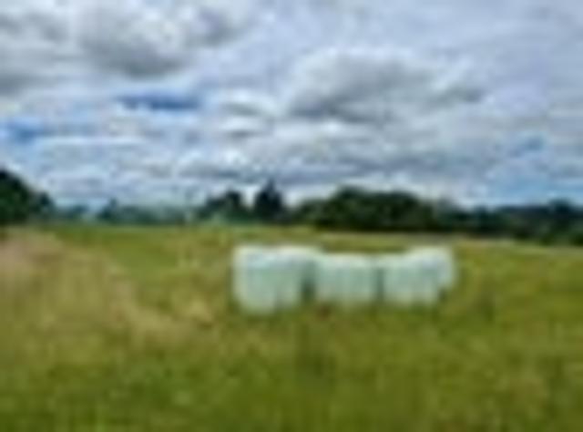 Land for sale in Bay Of Plenty