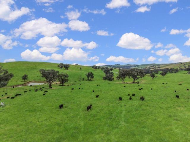 Cottage for sale in Woodstock, New South Wales