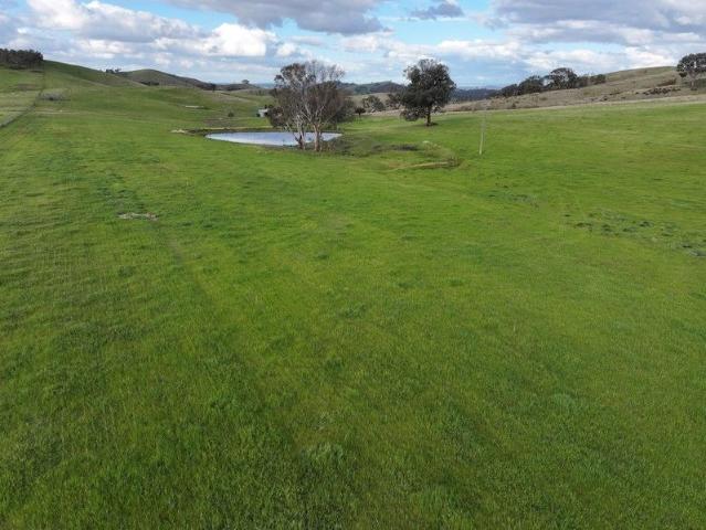 Property for sale in Belfrayden, New South Wales