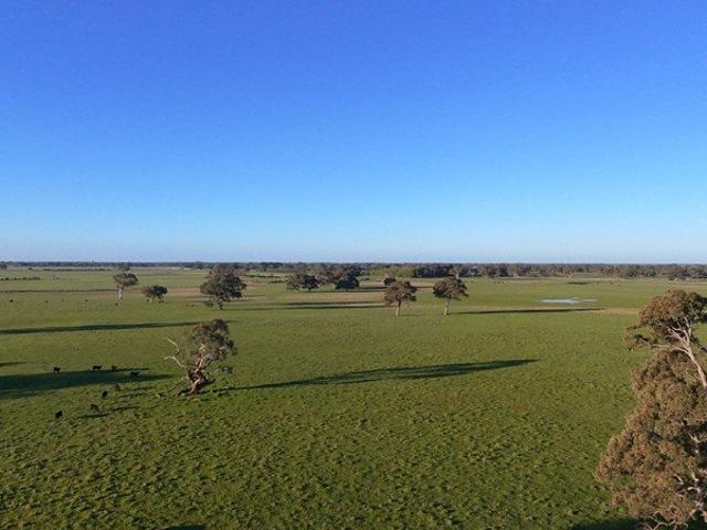 Cottage for sale in Penola, Wattle Range Council