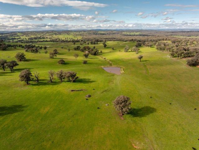 Cottage for sale in Belfrayden, New South Wales