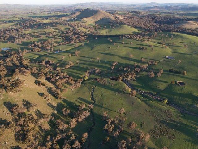 Cottage for sale in Binalong, New South Wales