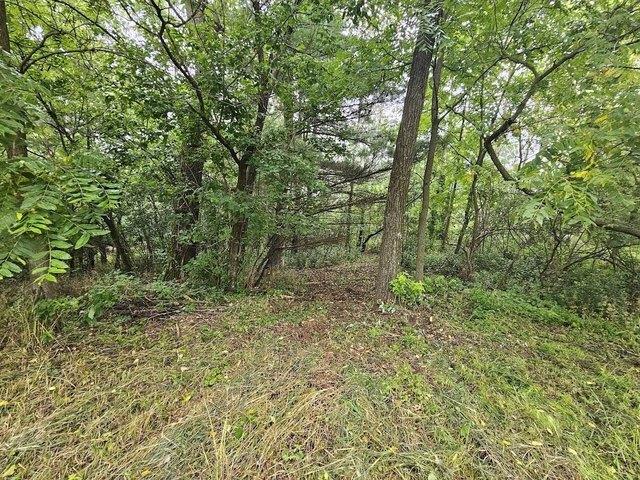 Land for sale in Wild Rose, Wisconsin