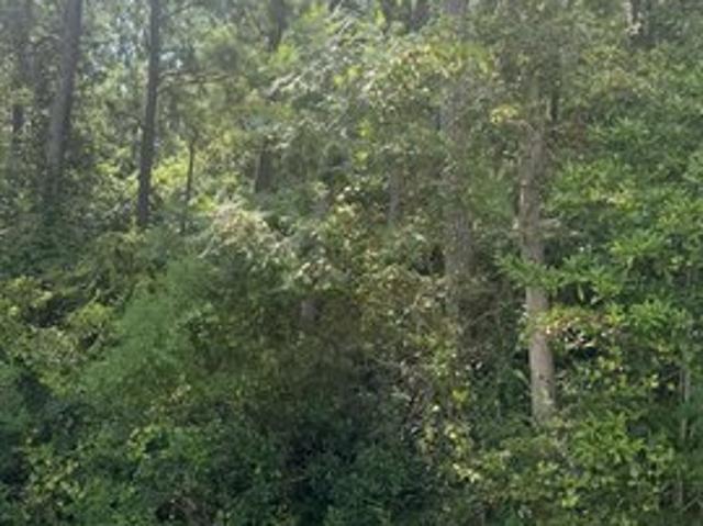 Land for sale in Ocean Springs, Mississippi