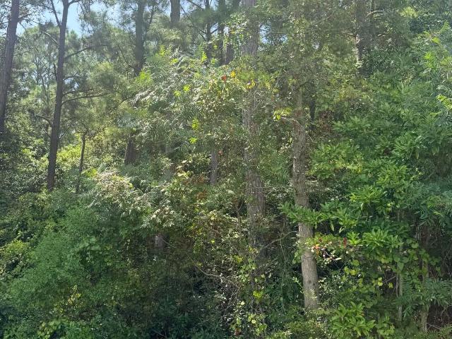 Land for sale in Ocean Springs, Mississippi
