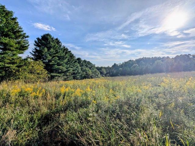 Land for sale in Virginia