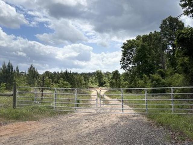 Land for sale in Leakesville, Mississippi