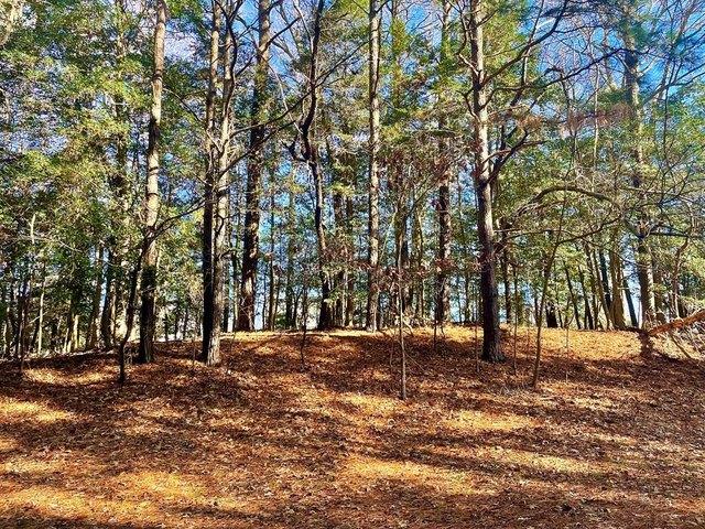 Land for sale in Virginia