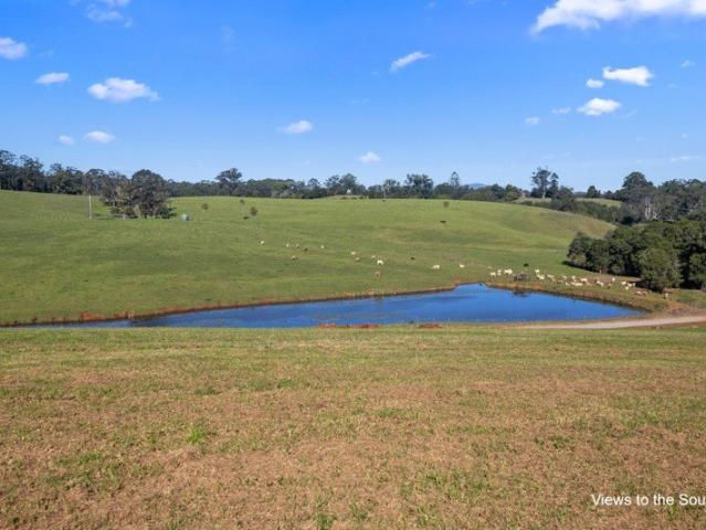 Land for sale in Newee Creek, New South Wales