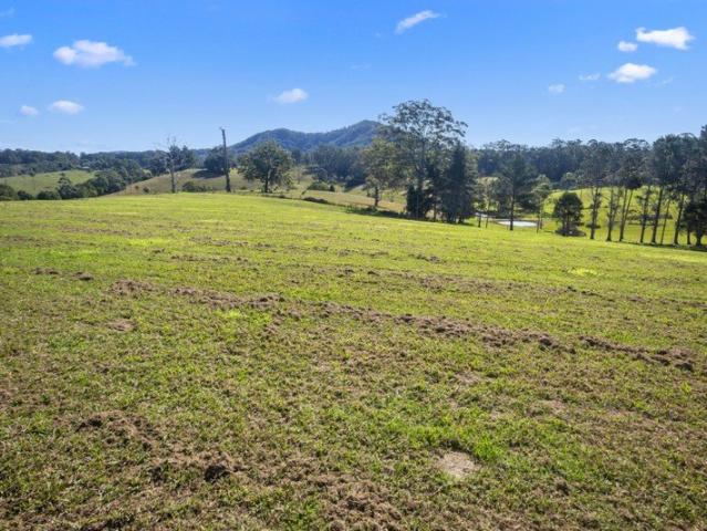 Land for sale in Newee Creek, New South Wales