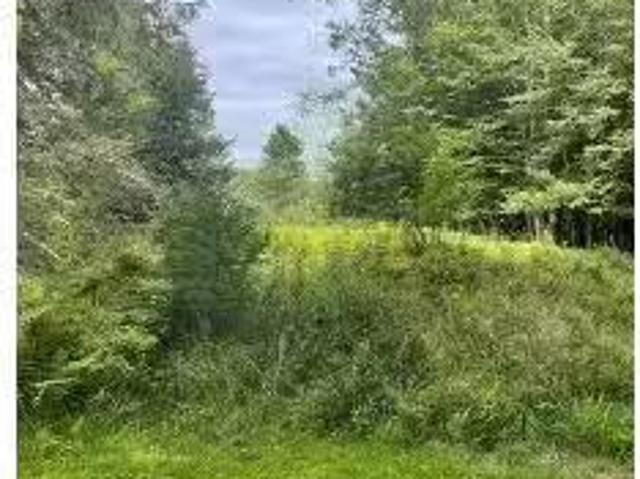House for sale in Kingston