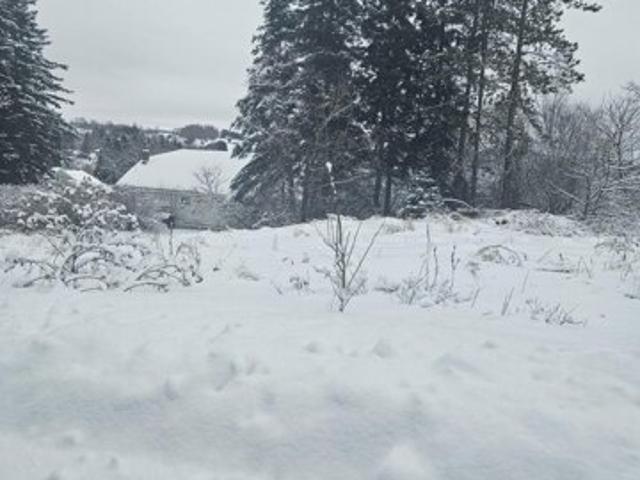 Land for sale in Limestone, Maine