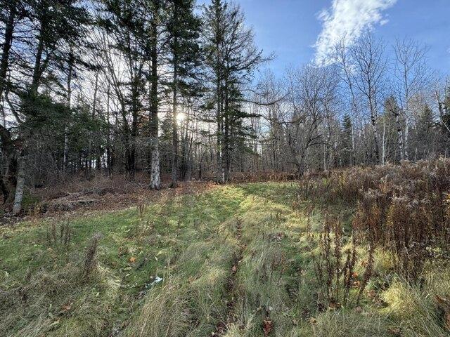 Land for sale in Westfield, Maine