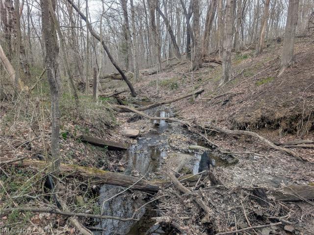 Land for sale in Somerset Historic District, Somerset