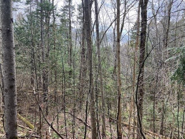 Land for sale in Wilmington, Vermont