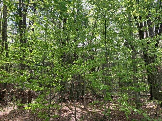 Land for sale in Wilmington, Vermont