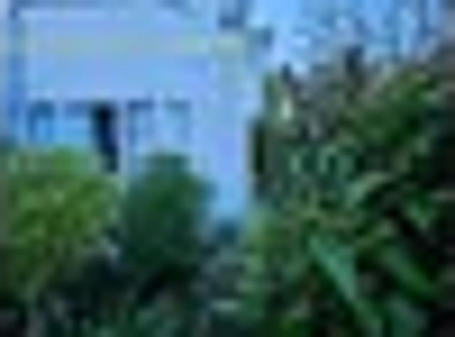 Apartment for rent in Highbury, Wellington