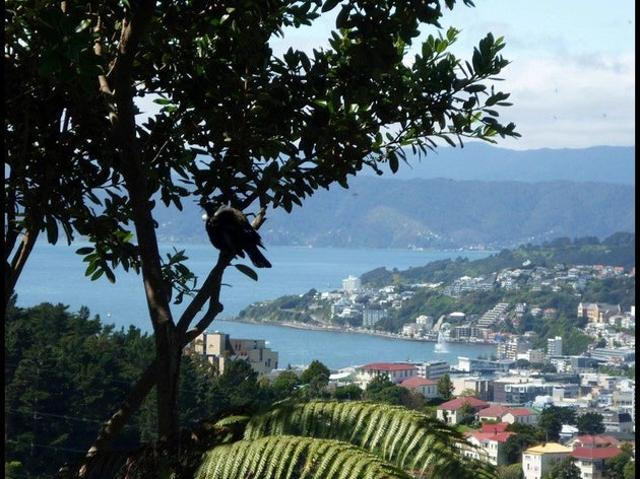 Apartment for rent in Matata, Wellington