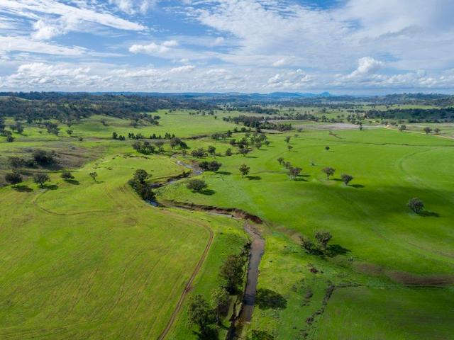 Cottage for sale in Purlewaugh, New South Wales