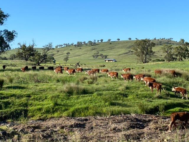 Cottage for sale in Purlewaugh, New South Wales