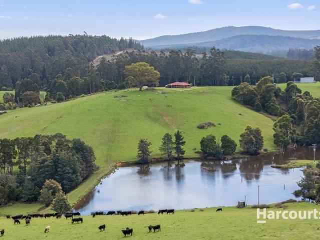 Property for sale in Kamona, Branxholm