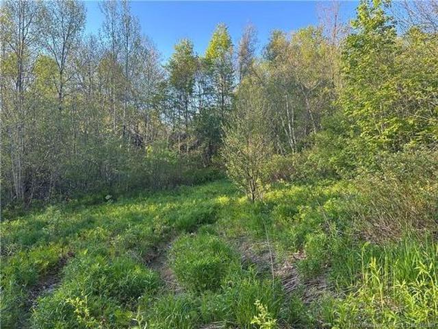 Land for sale in Studholm, New Brunswick