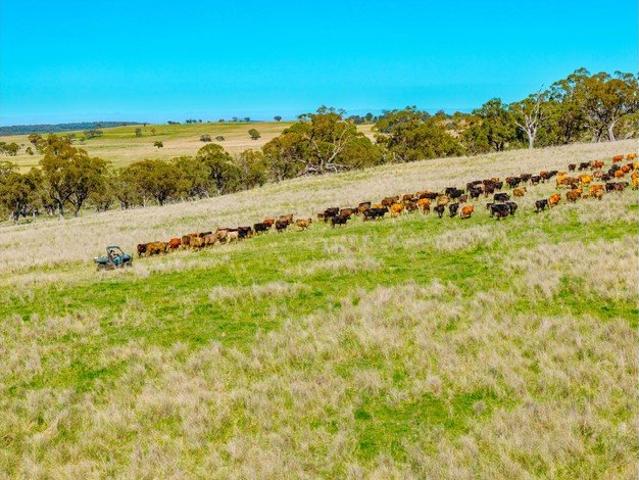 Cottage for sale in New South Wales