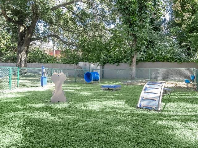 Apartment for rent in Orlando, Florida