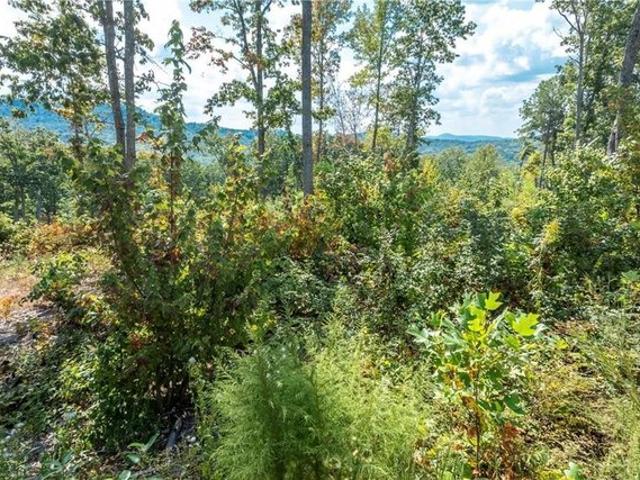 Land for sale in Pickens, Georgia