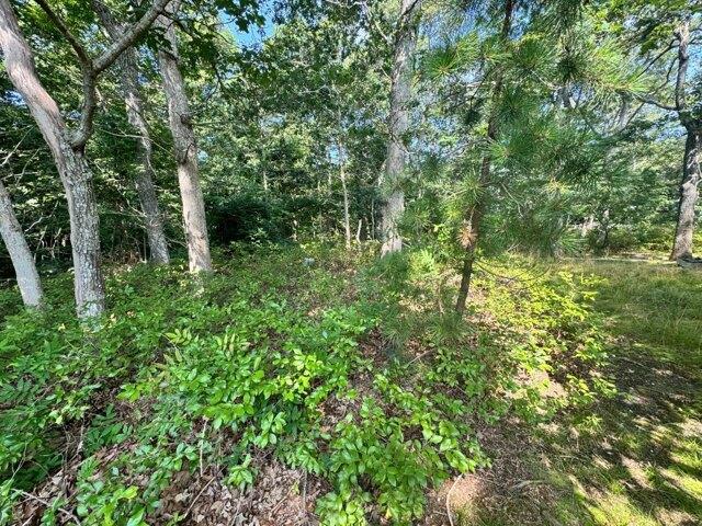 Land for sale in Oak Bluffs, Massachusetts