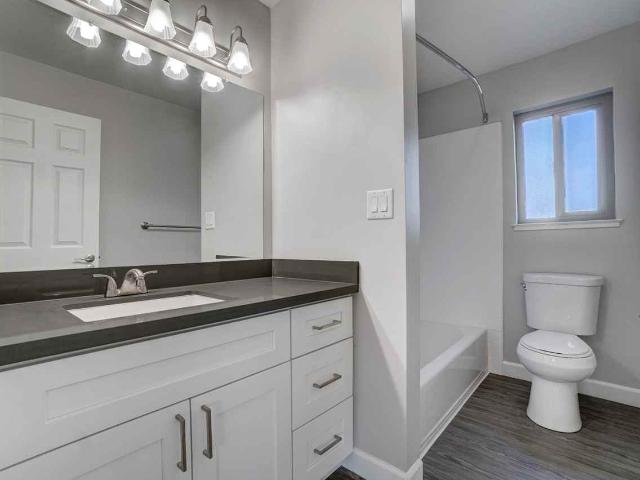 Apartment for rent in Mountain View, California