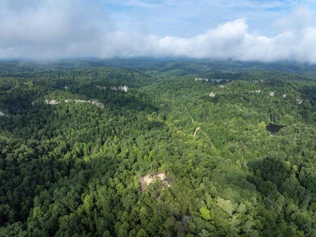 Land for sale in Zoe, Kentucky