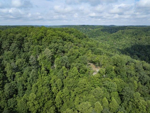 Land for sale in Zoe, Kentucky