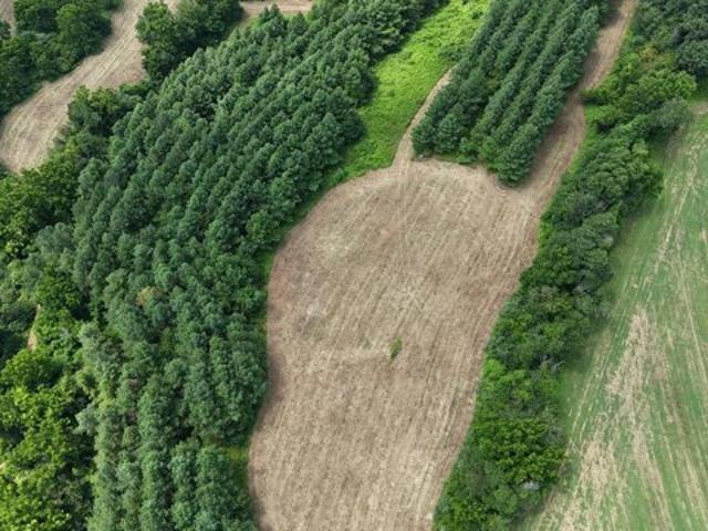 Land for sale in Glenville