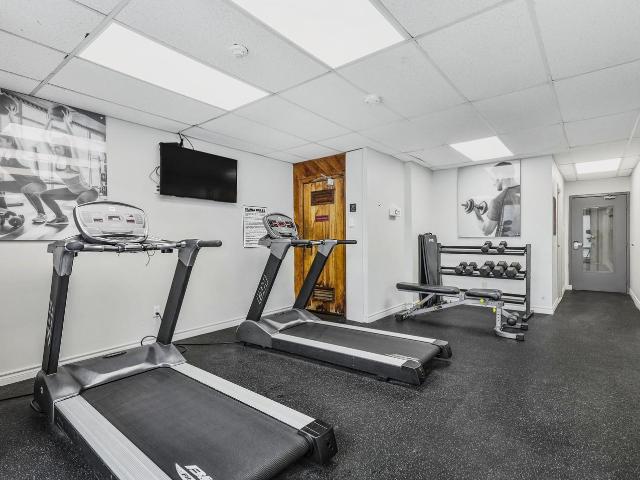 Apartment for rent in Arva, Ontario