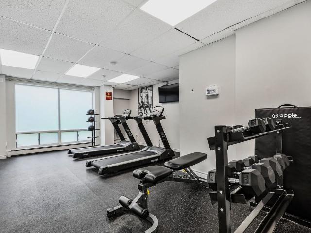 Apartment for rent in Arva, Ontario