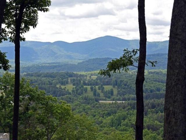 Land for sale in Blairsville