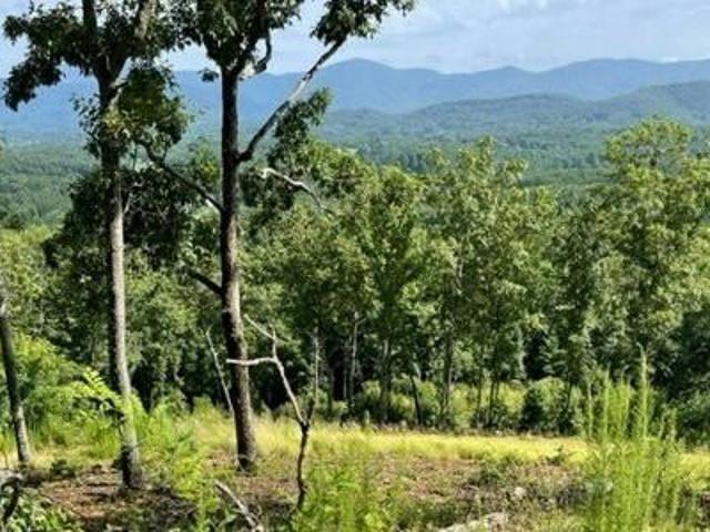 Land for sale in Blairsville