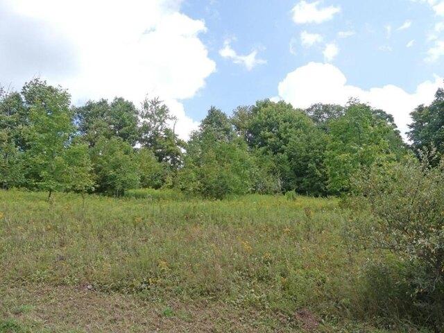 Land for sale in Andes, New York