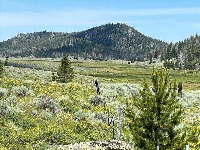 Land for sale in Butte, Montana