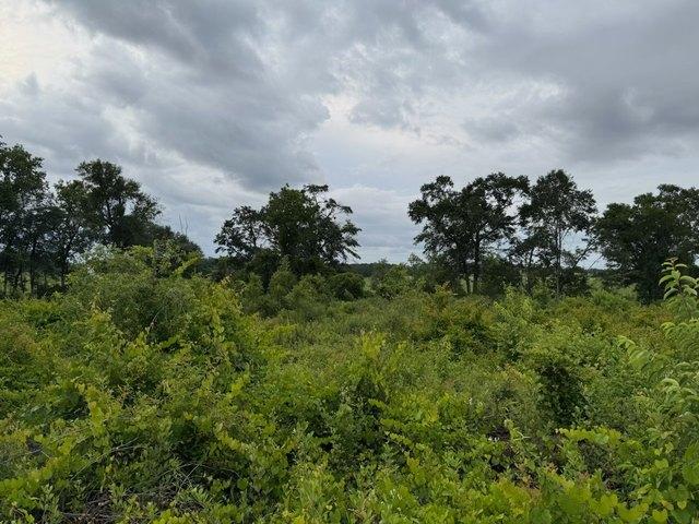 Land for sale in Slocomb, Geneva County