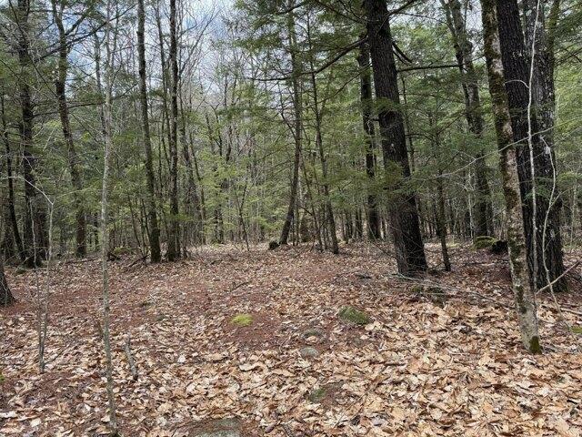 Land for sale in Hollis Center, Maine