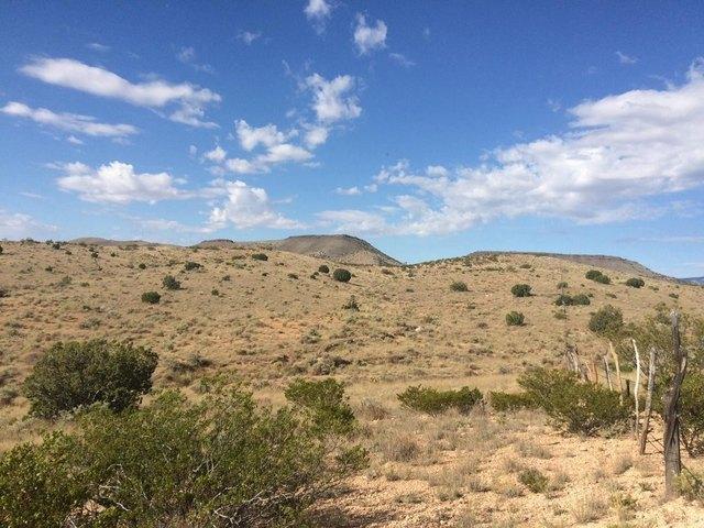 Land for sale in New Mexico