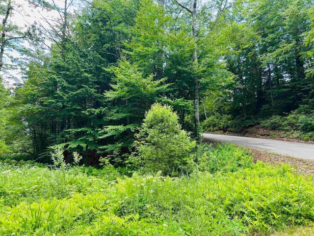Land for sale in Whitefield, Coös County