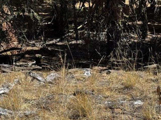 Land for sale in Modoc, California
