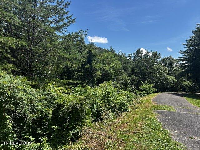 Land for sale in Tennessee