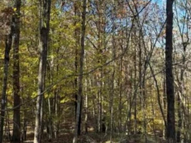 Land for sale in Oxford, Mississippi